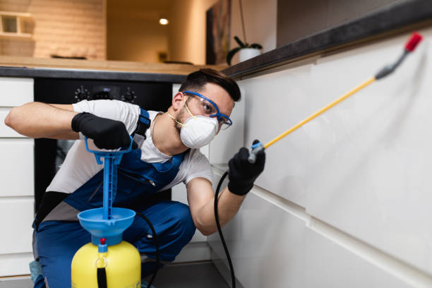 Professional Pest Control in Nicholasville, KY