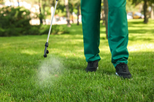 Best Pest Removal Services  in Nicholasville, KY