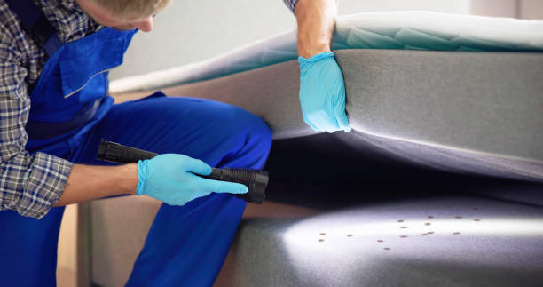 Best Best Pest Control Companies  in Nicholasville, KY